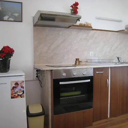 Omiros Byala (Varna)