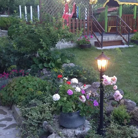 Guest house Omiros 2*